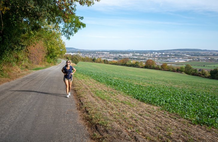 La seguridad y salud en el trabajo y experiencias prácticas en empresas