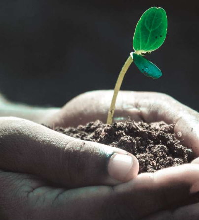 5ª Edición del Máster de Dirección Estratégica en Bienestar Organizacional