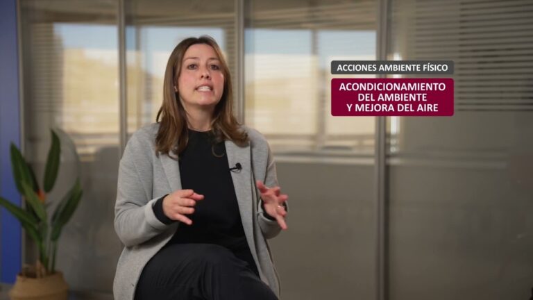 Modelo OMS de gestión del bienestar organizacional: ¿Cómo gestionar el Entorno Físico?